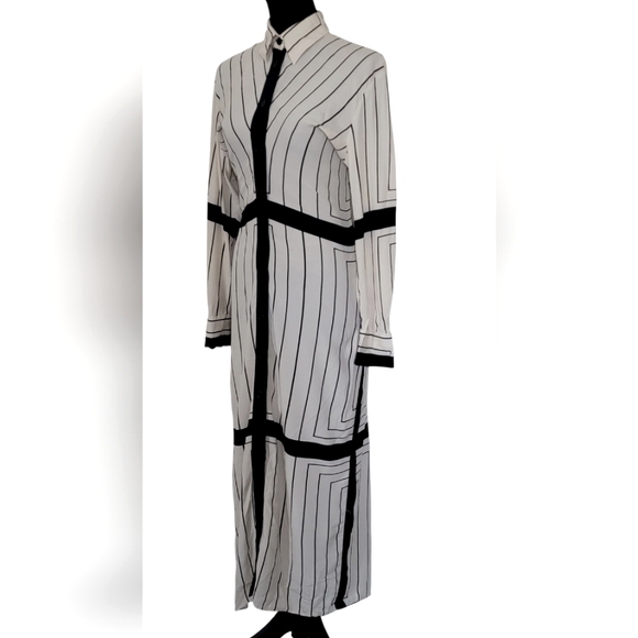 Zara Blogger Faves Striped Button Down Form fitting Maxi Dress - Picture 3 of 15